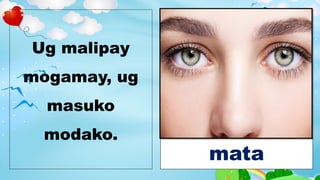 Ug malipay
mogamay, ug
masuko
modako.
mata
 