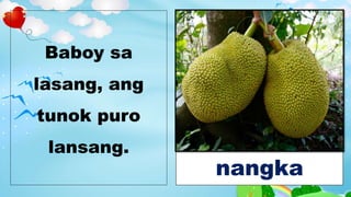 Baboy sa
lasang, ang
tunok puro
lansang.
nangka
 