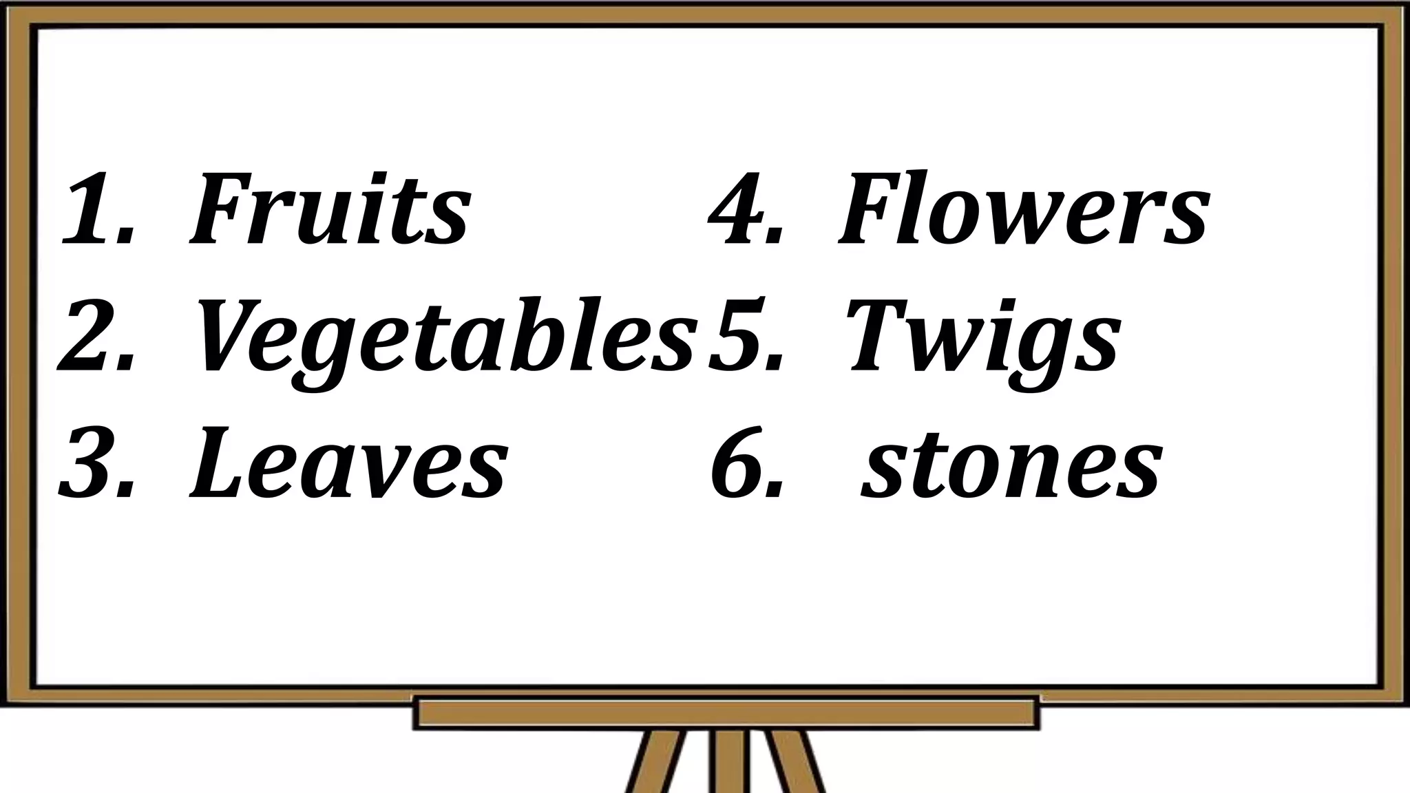 1. Fruits
2. Vegetables
3. Leaves
4. Flowers
5. Twigs
6. stones
 