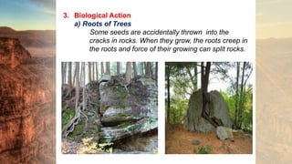 Physical Weathering | PPTX