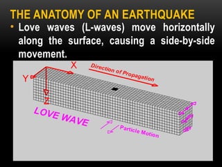 THE ANATOMY OF AN EARTHQUAKE
• Love waves (L-waves) move horizontally
along the surface, causing a side-by-side
movement.
 