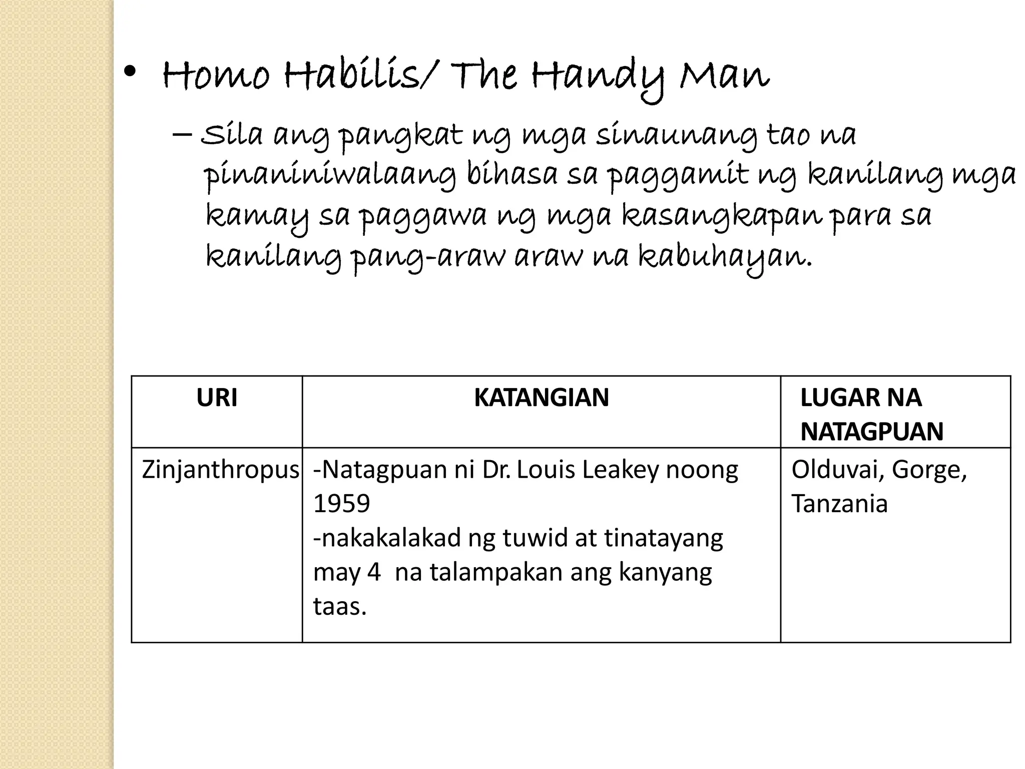 • Homo Habilis/ The Handy Man
– Sila ang pangkat ng mga sinaunang tao na
pinaniniwalaang bihasa sa paggamit ng kanilang mga
kamay sa paggawa ng mga kasangkapan para sa
kanilang pang-araw araw na kabuhayan.
URI KATANGIAN LUGAR NA
NATAGPUAN
Zinjanthropus -Natagpuan ni Dr.Louis Leakey noong
1959
-nakakalakad ng tuwid at tinatayang
may 4 na talampakan ang kanyang
taas.
Olduvai, Gorge,
Tanzania
 