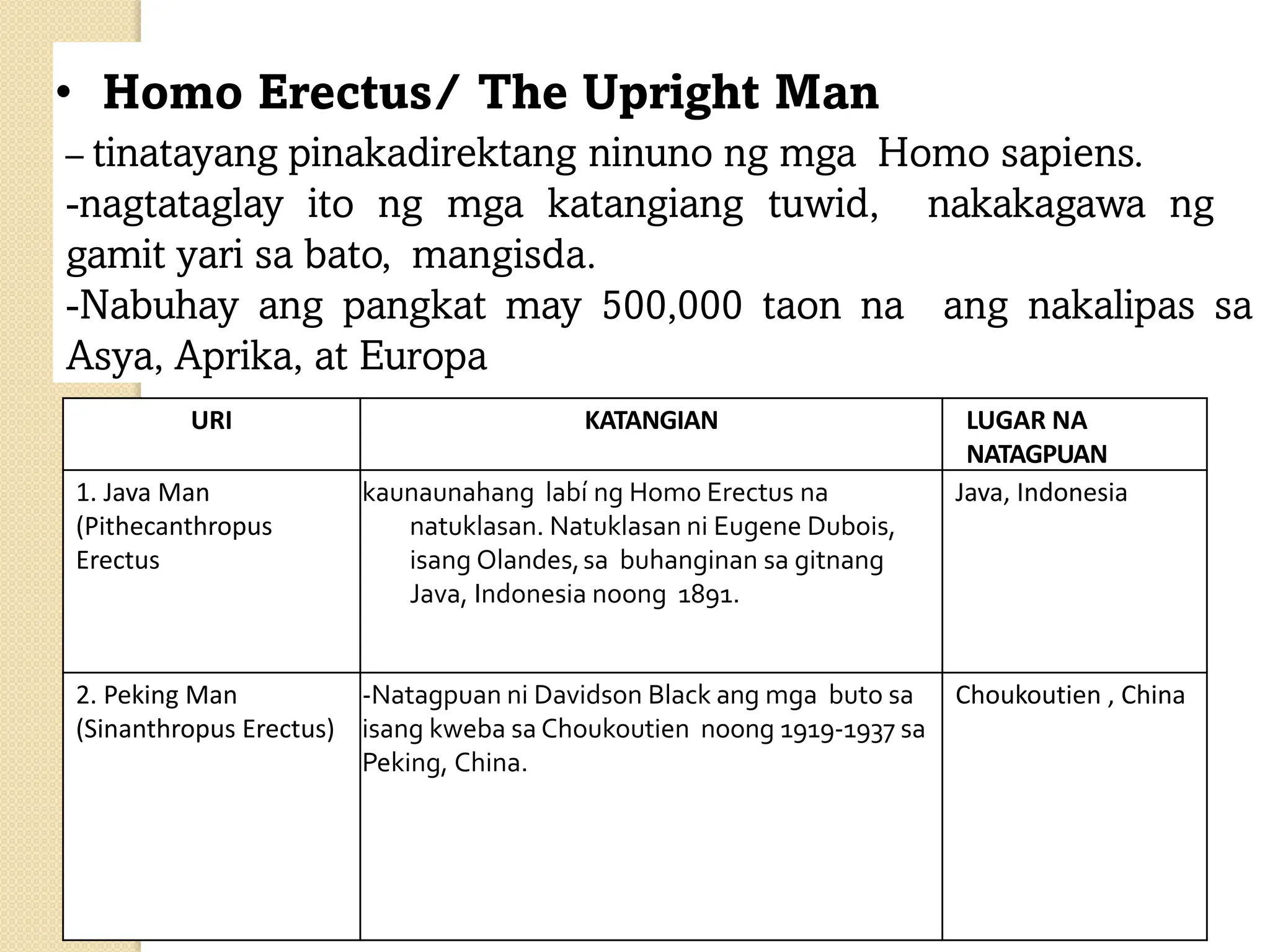 • Homo Erectus/ The Upright Man
– tinatayang pinakadirektang ninuno ng mga Homo sapiens.
-nagtataglay ito ng mga katangiang tuwid, nakakagawa ng
gamit yari sa bato, mangisda.
-Nabuhay ang pangkat may 500,000 taon na ang nakalipas sa
Asya, Aprika, at Europa
URI KATANGIAN LUGAR NA
NATAGPUAN
1. Java Man
(Pithecanthropus
Erectus
kaunaunahang labí ng Homo Erectus na
natuklasan. Natuklasan ni Eugene Dubois,
isang Olandes,sa buhanginan sa gitnang
Java, Indonesia noong 1891.
Java, Indonesia
2. Peking Man
(Sinanthropus Erectus)
-Natagpuan ni Davidson Black ang mga buto sa
isang kweba sa Choukoutien noong 1919-1937 sa
Peking, China.
Choukoutien , China
 