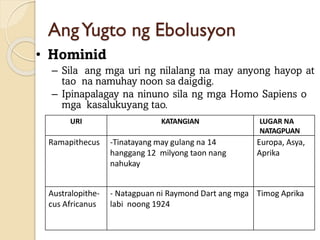 AngYugto ng Ebolusyon
• Hominid
– Sila ang mga uri ng nilalang na may anyong hayop at
tao na namuhay noon sa daigdig.
– Ipinapalagay na ninuno sila ng mga Homo Sapiens o
mga kasalukuyang tao.
URI KATANGIAN LUGAR NA
NATAGPUAN
Ramapithecus -Tinatayang may gulang na 14
hanggang 12 milyong taon nang
nahukay
Europa, Asya,
Aprika
Australopithe-
cus Africanus
- Natagpuan ni Raymond Dart ang mga
labi noong 1924
Timog Aprika
 
