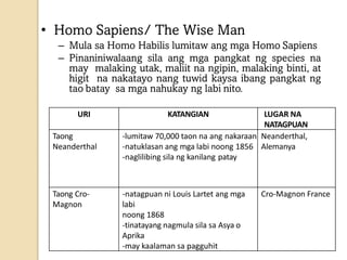 • Homo Sapiens/ The Wise Man
– Mula sa Homo Habilis lumitaw ang mga Homo Sapiens
– Pinaniniwalaang sila ang mga pangkat ng species na
may malaking utak, maliit na ngipin, malaking binti, at
higit na nakatayo nang tuwid kaysa ibang pangkat ng
tao batay sa mga nahukay ng labi nito.
URI KATANGIAN LUGAR NA
NATAGPUAN
Taong
Neanderthal
-lumitaw 70,000 taon na ang nakaraan
-natuklasan ang mga labi noong 1856
-naglilibing sila ng kanilang patay
Neanderthal,
Alemanya
Taong Cro-
Magnon
-natagpuan ni Louis Lartet ang mga
labi
noong 1868
-tinatayang nagmula sila sa Asya o
Aprika
-may kaalaman sa pagguhit
Cro-Magnon France
 