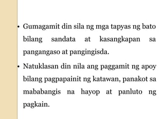 • Gumagamit din sila ng mga tapyas ng bato
bilang sandata at kasangkapan sa
pangangaso at pangingisda.
• Natuklasan din nila ang paggamit ng apoy
bilang pagpapainit ng katawan, panakot sa
mababangis na hayop at panluto ng
pagkain.
 
