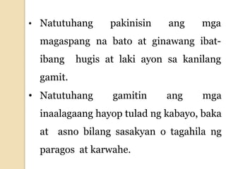 • Natutuhang pakinisin ang mga
magaspang na bato at ginawang ibat-
ibang hugis at laki ayon sa kanilang
gamit.
• Natutuhang gamitin ang mga
inaalagaang hayop tulad ng kabayo, baka
at asno bilang sasakyan o tagahila ng
paragos at karwahe.
 