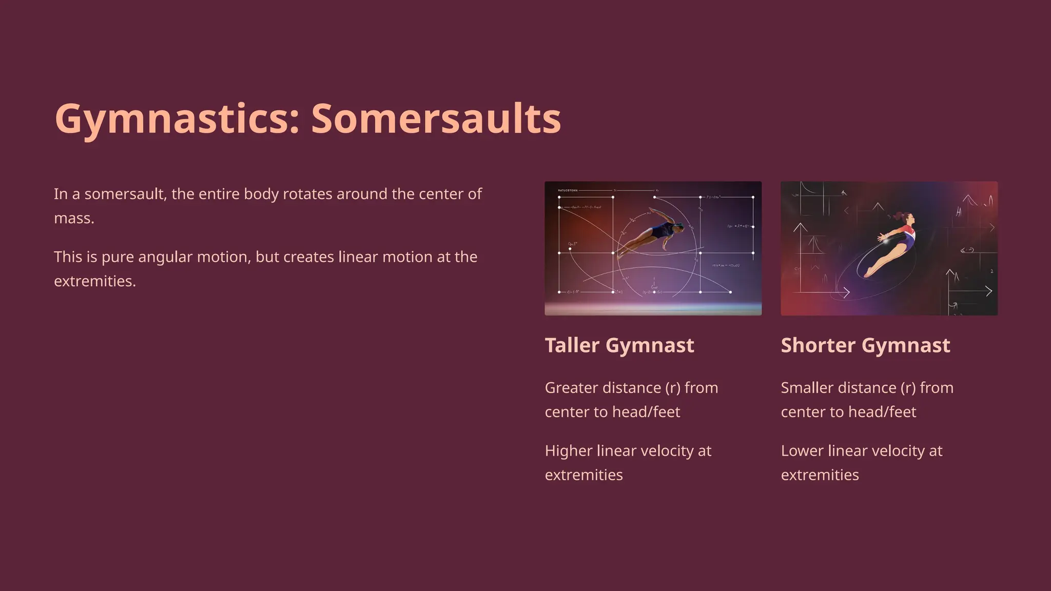 Gymnastics: Somersaults
In a somersault, the entire body rotates around the center of
mass.
This is pure angular motion, but creates linear motion at the
extremities.
Taller Gymnast
Greater distance (r) from
center to head/feet
Higher linear velocity at
extremities
Shorter Gymnast
Smaller distance (r) from
center to head/feet
Lower linear velocity at
extremities
 