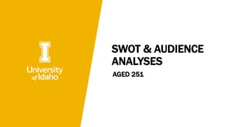 SWOT & AUDIENCE
ANALYSES
AGED 251
 