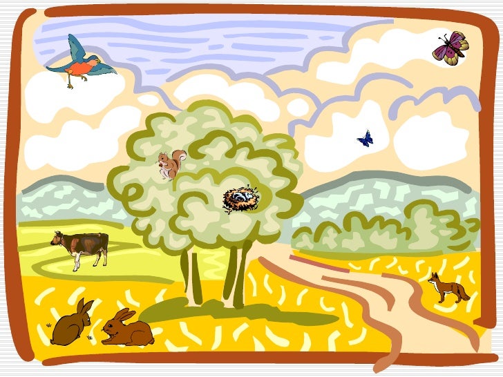 Lesson 3.3 How do plants and animals need each other?