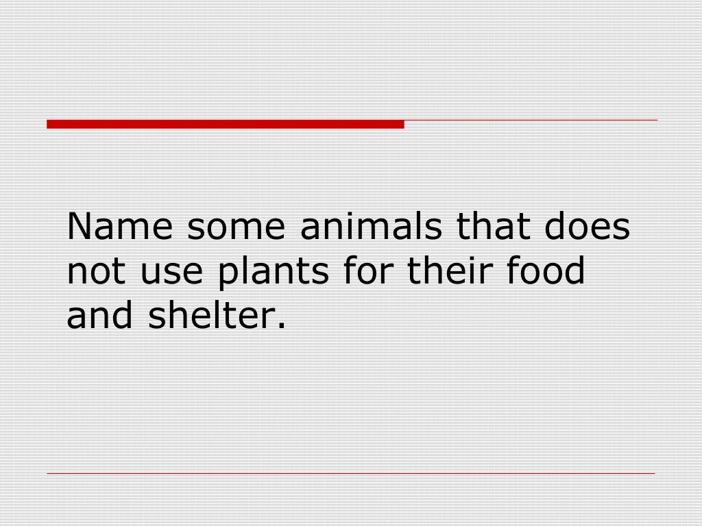 animals need plants