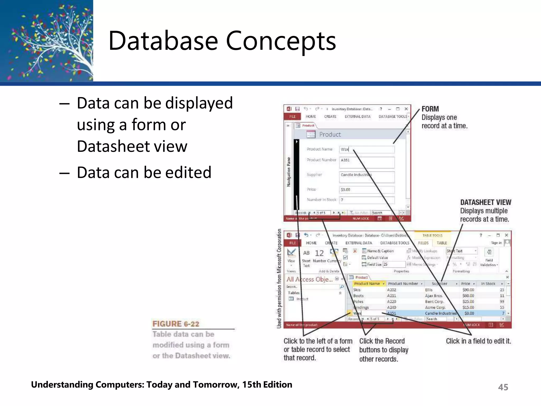 Database Concepts
– Data can be displayed
using a form or
Datasheet view
– Data can be edited
Understanding Computers: Today and Tomorrow, 15th Edition 45
 