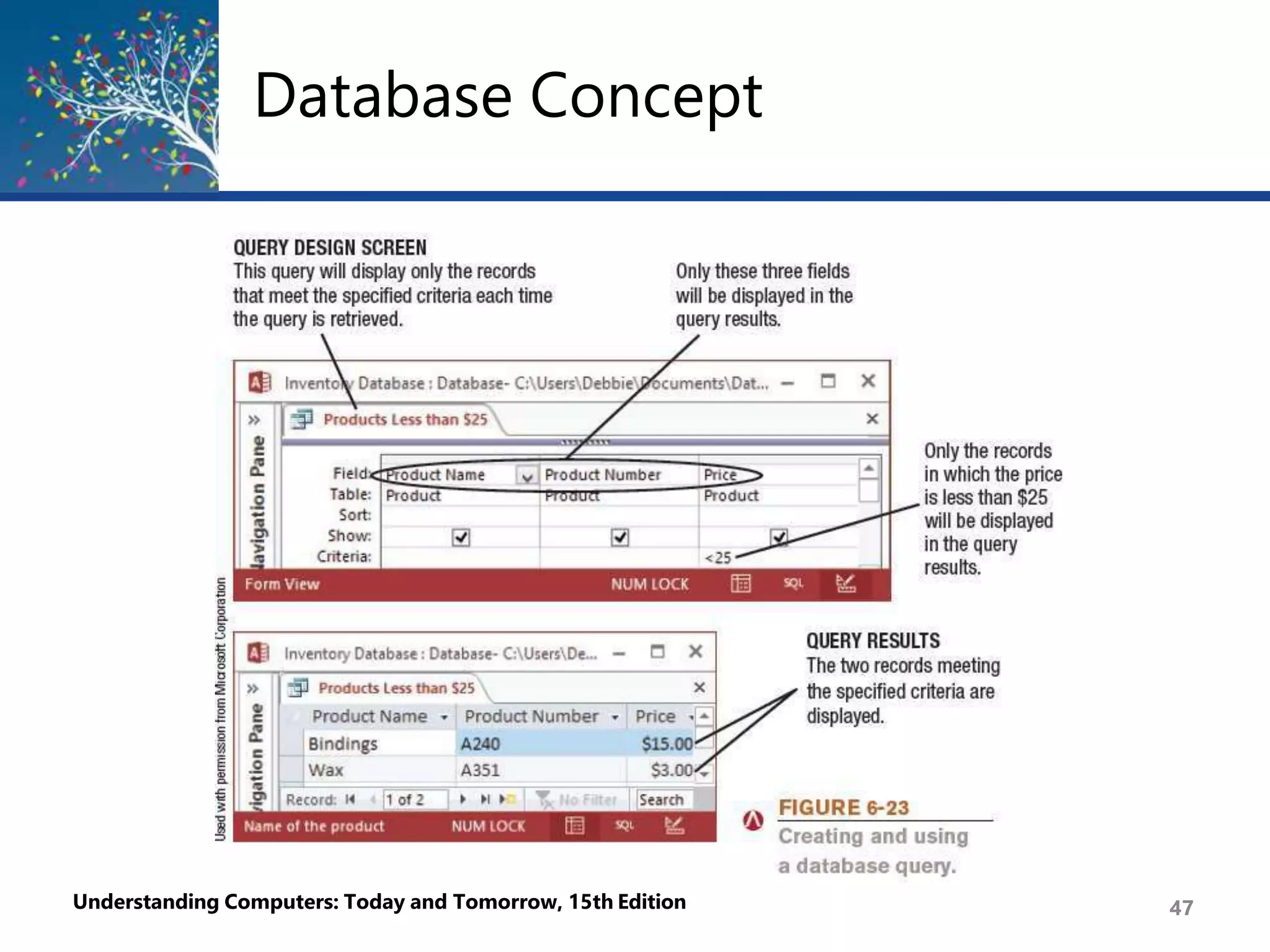 Database Concept
Understanding Computers: Today and Tomorrow, 15th Edition 47
 