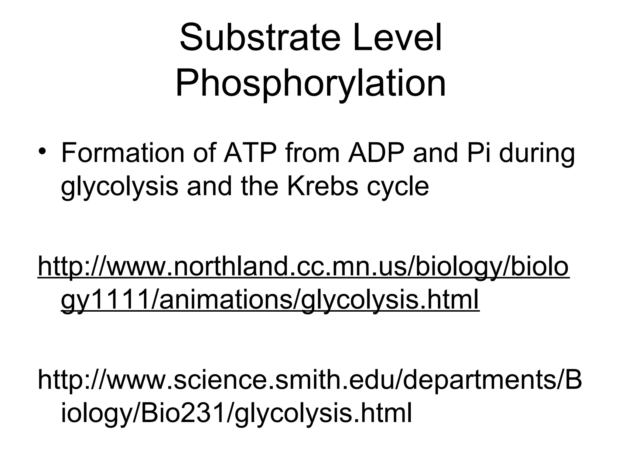 Lesson 3 glycolysis and atp synthesis | PPT