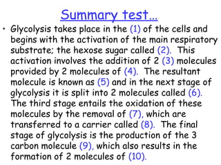 Lesson 3 glycolysis and atp synthesis | PPT