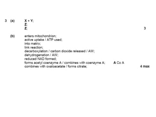 Lesson 3 glycolysis and atp synthesis | PPT