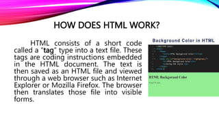 LESSON 3-HTML 5 START UP.pptx | Web Design and HTML | Internet