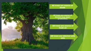 All trees are source of
shade
All trees are source of
fresh air
All trees are source of
income (e.g. paper
production)
All trees are infested with
ants
 