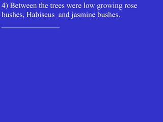 4) Between the trees were low growing rose
bushes, Habiscus and jasmine bushes.
_______________
 