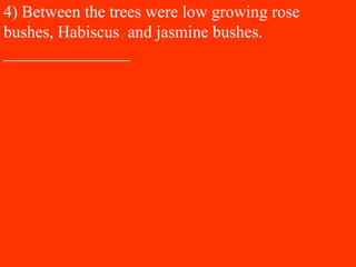 4) Between the trees were low growing rose
bushes, Habiscus and jasmine bushes.
_______________
 