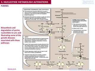 4. NUCLEOTIDE METABOLISM ALTERATIONS
PURINES
Department of
Biochemistry and Molecular Biology
Harvey et al.,
Biosynthesis and
degradation of purine
nucleotides to uric acid
illustrating some of the
genetic diseases
associated with these
pathways.
 