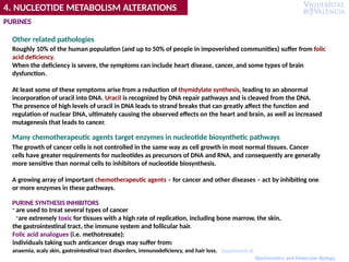 PURINES
Other related pathologies
Roughly 10% of the human population (and up to 50% of people in impoverished communities) suffer from folic
acid deficiency.
When the deficiency is severe, the symptoms can include heart disease, cancer, and some types of brain
dysfunction.
At least some of these symptoms arise from a reduction of thymidylate synthesis, leading to an abnormal
incorporation of uracil into DNA. Uracil is recognized by DNA repair pathways and is cleaved from the DNA.
The presence of high levels of uracil in DNA leads to strand breaks that can greatly affect the function and
regulation of nuclear DNA, ultimately causing the observed effects on the heart and brain, as well as increased
mutagenesis that leads to cancer.
Many chemotherapeutic agents target enzymes in nucleotide biosynthetic pathways
The growth of cancer cells is not controlled in the same way as cell growth in most normal tissues. Cancer
cells have greater requirements for nucleotides as precursors of DNA and RNA, and consequently are generally
more sensitive than normal cells to inhibitors of nucleotide biosynthesis.
A growing array of important chemotherapeutic agents – for cancer and other diseases – act by inhibiting one
or more enzymes in these pathways.
PURINE SYNTHESIS INHIBITORS
- are used to treat several types of cancer
-are extremely toxic for tissues with a high rate of replication, including bone marrow, the skin,
the gastrointestinal tract, the immune system and follicular hair.
Folic acid analogues (i.e. methotrexate):
individuals taking such anticancer drugs may suffer from:
4. NUCLEOTIDE METABOLISM ALTERATIONS
anaemia, scaly skin, gastrointestinal tract disorders, immunodeficiency, and hair loss. Department of
Biochemistry and Molecular Biology
 