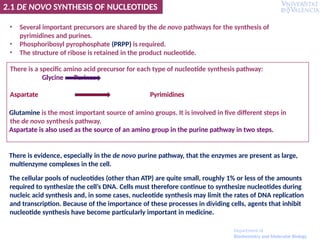 2.1 DE NOVO SYNTHESIS OF NUCLEOTIDES
• Several important precursors are shared by the de novo pathways for the synthesis of
pyrimidines and purines.
• Phosphoribosyl pyrophosphate (PRPP) is required.
• The structure of ribose is retained in the product nucleotide.
There is a specific amino acid precursor for each type of nucleotide synthesis pathway:
Glycine Purines
Aspartate Pyrimidines
Glutamine is the most important source of amino groups. It is involved in five different steps in
the de novo synthesis pathway.
Aspartate is also used as the source of an amino group in the purine pathway in two steps.
There is evidence, especially in the de novo purine pathway, that the enzymes are present as large,
multienzyme complexes in the cell.
The cellular pools of nucleotides (other than ATP) are quite small, roughly 1% or less of the amounts
required to synthesize the cell’s DNA. Cells must therefore continue to synthesize nucleotides during
nucleic acid synthesis and, in some cases, nucleotide synthesis may limit the rates of DNA replication
and transcription. Because of the importance of these processes in dividing cells, agents that inhibit
nucleotide synthesis have become particularly important in medicine.
Department of
Biochemistry and Molecular Biology
 