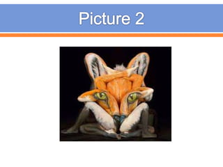 D1 Lesson 2