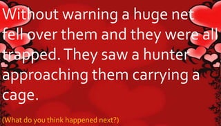 Without warning a huge net 
fell over them and they were all 
trapped. They saw a hunter 
approaching them carrying a 
cage. 
(What do you think happened next?) 
 