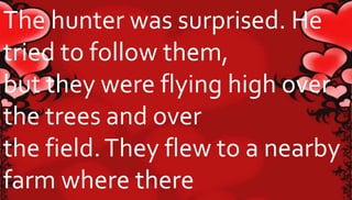 The hunter was surprised. He 
tried to follow them, 
but they were flying high over 
the trees and over 
the field. They flew to a nearby 
farm where there 
 