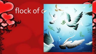 flock of doves 
 