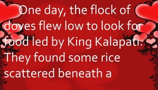 One day, the flock of 
doves flew low to look for 
food led by King Kalapati. 
They found some rice 
scattered beneath a 
 