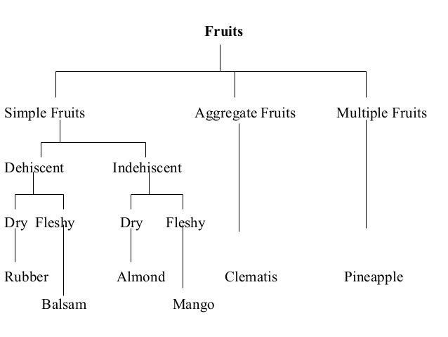 ENG101- English Comprehension- Lecture 39