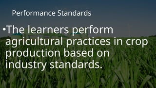 Performance Standards
•The learners perform
agricultural practices in crop
production based on
industry standards.
 