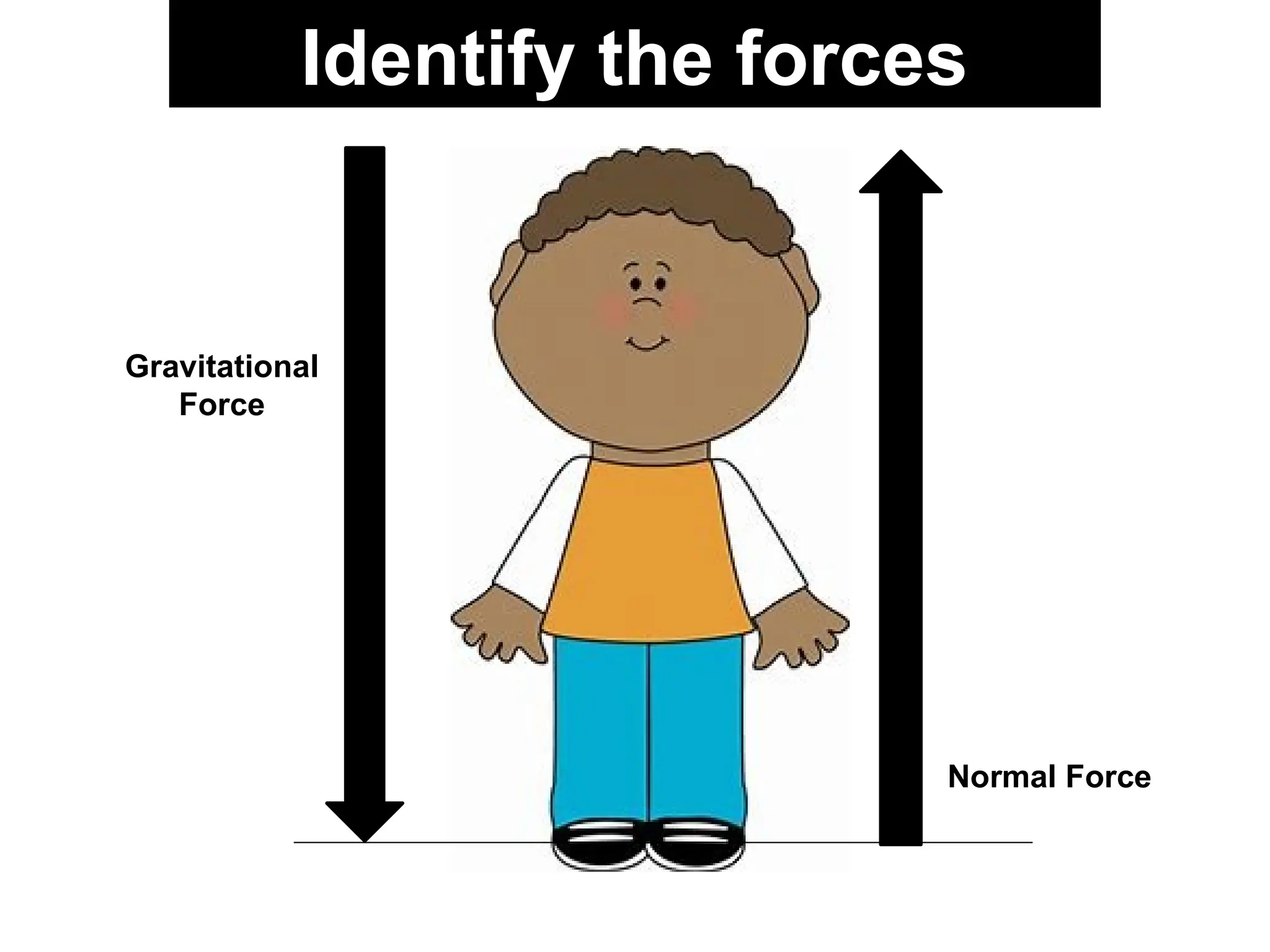Identify the forces
Gravitational
Force
Normal Force
 