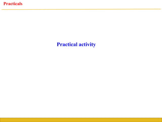 KCA University
Practical activity
Practicals
 