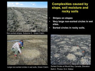 Complexities caused by
                                                           slope, soil moisture and
                                                                  rocky soils

                                                      •     Stripes on slopes
                                                      •     Very large non-sorted circles in wet
                                                            sites.
                                                      •     Sorted circles in rocky soils.

Non-sorted stripes, Subzone C, Green Cabin.




Large non-sorted circles in wet soils, Green Cabin.       Sorted Circles at Mould Bay, Canada, Elevation
                                                          Belt A. Photos: D.A. Walker
 