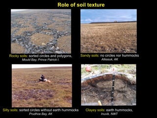 Role of soil texture




    Rocky soils: sorted circles and polygons,        Sandy soils: no circles nor hummocks
            Mould Bay, Prince Patrick I.                         Atkasuk, AK




Silty soils: sorted circles without earth hummocks      Clayey soils: earth hummocks,
                 Prudhoe Bay, AK                                 Inuvik, NWT
 