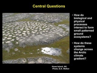 Central Questions

                               • How do
                                 biological and
                                 physical
                                 processes
                                 interact to form
                                 small patterned
                                 ground
                                 ecosystems?

                               • How do these
                                 systems
                                 change across
                                 the Arctic
                                 climate
                                 gradient?

          Howe Island, AK.
          Photo; D.A. Walker
 