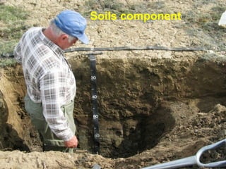 Soils component
 