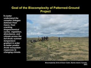 Goal of the Biocomplexity of Patterned-Ground
                           Project
To better
understand the
complex linkages
between frost
heave, frost
cracking,
biogeochemical
cycles, vegetation,
disturbance, and
climate across the
full Arctic summer
temperature
gradient in order
to better predict
Arctic ecosystem
responses to
changing climate.




                              Biocomplexity Grid at Green Cabin, Banks Island, Canada,
                                                                                  2003
 