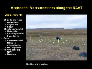 Approach: Measurements along the NAAT
    Measurements
•   21 Grids and maps
     • Active layer
     • Vegetation
     • Snow
•   Climate /permafrost
     • Met station
     • Soil temperatures
     • Frost heave
•   Soils
     • Characterization
     • Nitrogen
       mineralization
     • Decomposition
•   Remote sensing
     • NDVI
     • Biomass



                           10 x 10 m grid at Isachsen
 