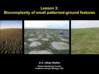 Lesson 3:
Biocomplexity of small patterned-ground features




                   D.A. (Skip) Walker
                  Alaska Geobotany Center,
                Institute of Arctic Biology, UAF
 