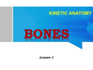 KINETIC ANATOMY
BONES
Lesson 1
 