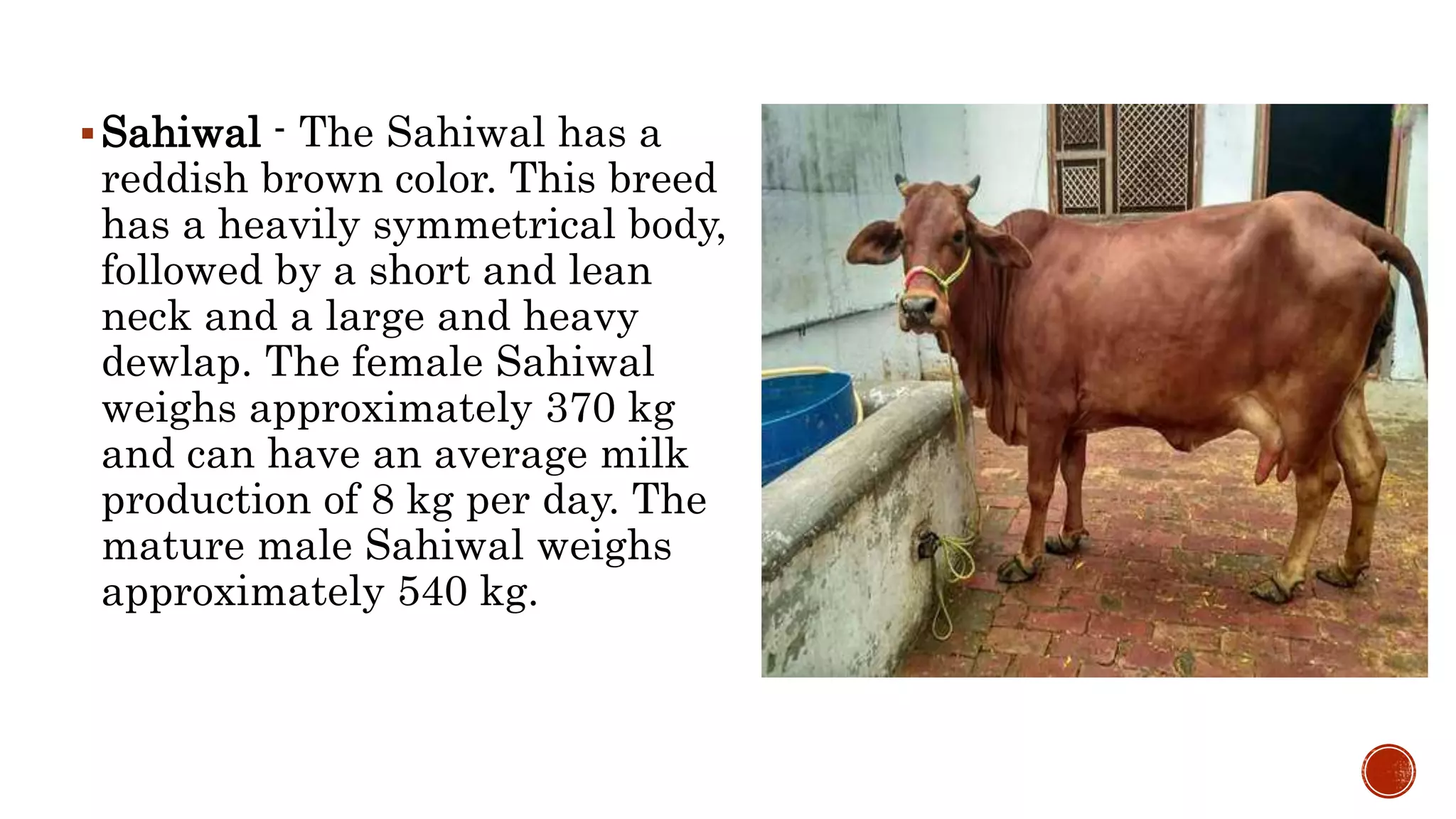 Lesson 3 BREEDS AND BREEDING OF LARGE RUMINANTS.pptx
