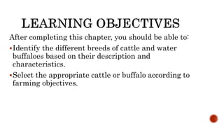 After completing this chapter, you should be able to:
Identify the different breeds of cattle and water
buffaloes based on their description and
characteristics.
Select the appropriate cattle or buffalo according to
farming objectives.
 