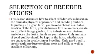 This lesson discusses how to select breeder stocks based on
the animal’s physical appearance and breeding abilities.
In putting up a good farm, you have to choose a suitable
location of the farm, provide houses for the animals, create
an excellent forage garden, hire industrious caretakers,
and choose the best animals as your stocks. Only animals
of good quality should be kept in the farm, whether you
are engaged in production or breeding. Only good quality
stocks could produce excellent meat and milk as well as
excellent offsprings.
 