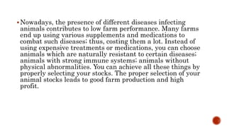 Nowadays, the presence of different diseases infecting
animals contributes to low farm performance. Many farms
end up using various supplements and medications to
combat such diseases; thus, costing them a lot. Instead of
using expensive treatments or medications, you can choose
animals which are naturally resistant to certain diseases;
animals with strong immune systems; animals without
physical abnormalities. You can achieve all these things by
properly selecting your stocks. The proper selection of your
animal stocks leads to good farm production and high
profit.
 