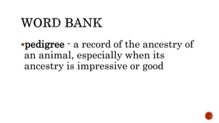 pedigree - a record of the ancestry of
an animal, especially when its
ancestry is impressive or good
 