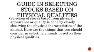 Selection of stocks based from physical
appearance or quality is done by closely
observing the physical characteristics of the
animal. Here are the things that you should
consider in selecting animals based on their
physical qualities.
 